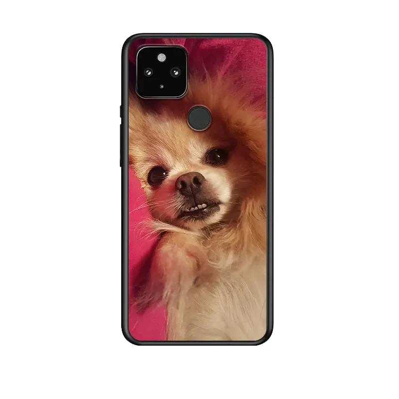 

Cute Pomeranian dog for Google Pixel 5 Pixel 4a 5G Pixel 4a Pixel 4 Pixel 4 XL Silicone Soft Black Phone Case Cover