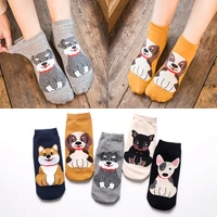 2021 spring products japanese cartoon cute puppy series straight women socks cotton akita dog fresh pet short funny boat socks