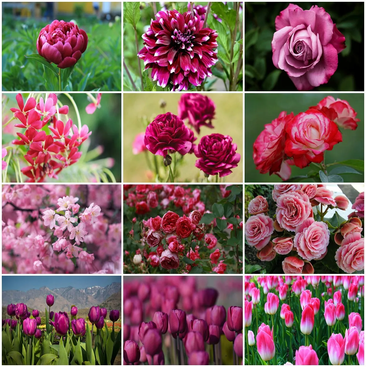 

Алмазная вышивка AZQSD, Цветочная мозаика стразы, алмазная живопись ручной работы, цветок, вышивка крестиком, Наборы для творчества, домашний декор, подарок