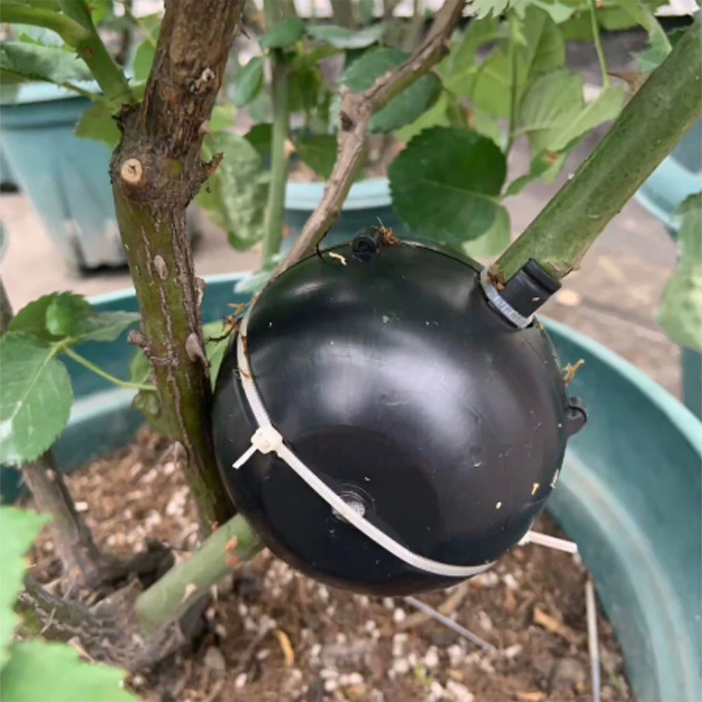 

5pcs Plant Rooting Ball Grafting Rooting Growing Box Breeding Case For Garden Plant High-pressure Propagation Box Sapling
