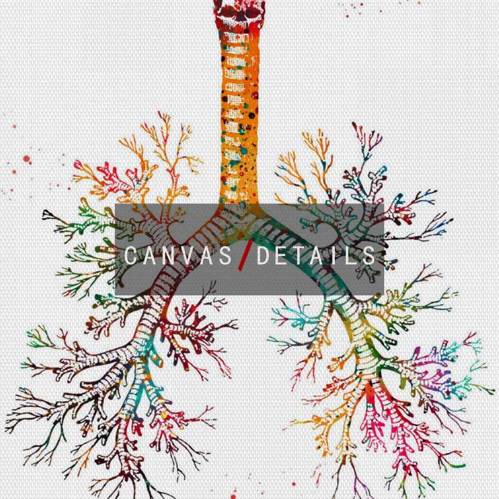 Плакаты с изображением сердец зубов скелета ячеек цветное художественное