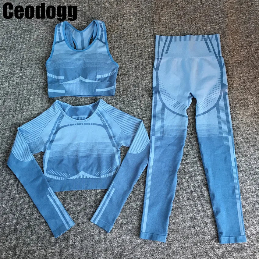 

2Pcs Seamless Yoga Sets GeoWomen Long Sleeve Crop Top Fitness Seamless Legging Sets Workout Gym Clothing Active Gym Suit