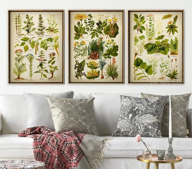 

Medicinal Plant Plate 3 Sets Of Oil Painting On Canvas Engraving Interior Art Design Wall