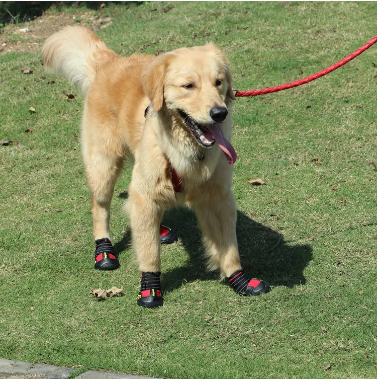 [PEITAARR] Товары для домашних животных обувь непромокаемые сапоги комплект