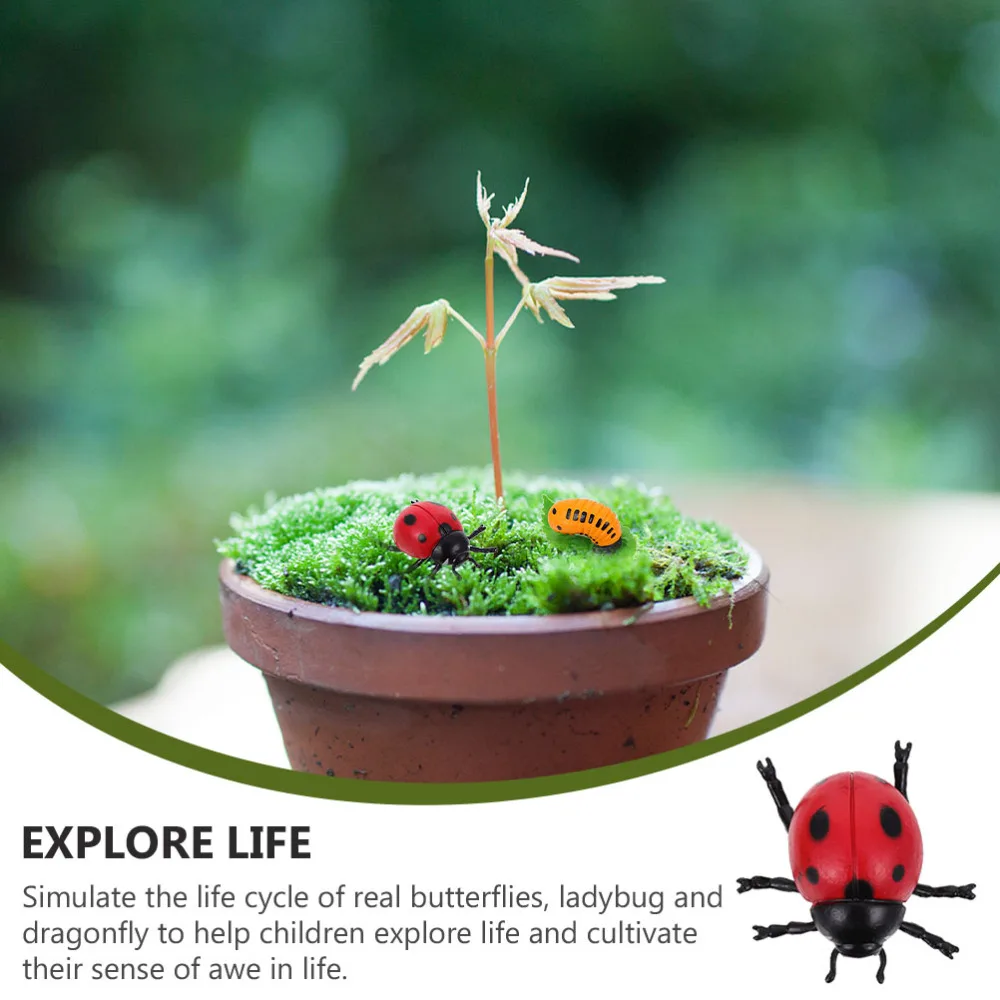 

3 Sets Growth Cycle Figurines of Ladybug Butterflies and Dragonfly for Kids