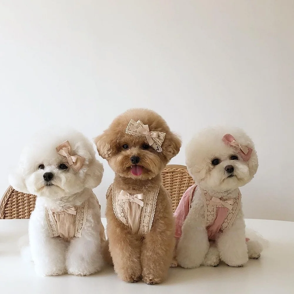 

INS Style Spring And Summer Cute Sweet Lace Sling Bichon Teddy Small Dog Cat Pet Pure Cotton Comfortable Breathable Skirt