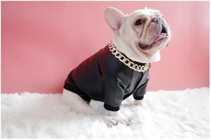 

Glorious Eagle Pattern Dog Coat PU Leather Jacket Soft Waterproof Outdoor Puppy Outerwear Fashion Clothes For Small Pet(XXS-XXL)