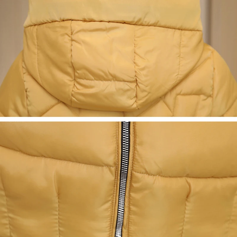 Женские короткие куртки с капюшоном теплый пуховик хлопок 2019 Осень-зима женские