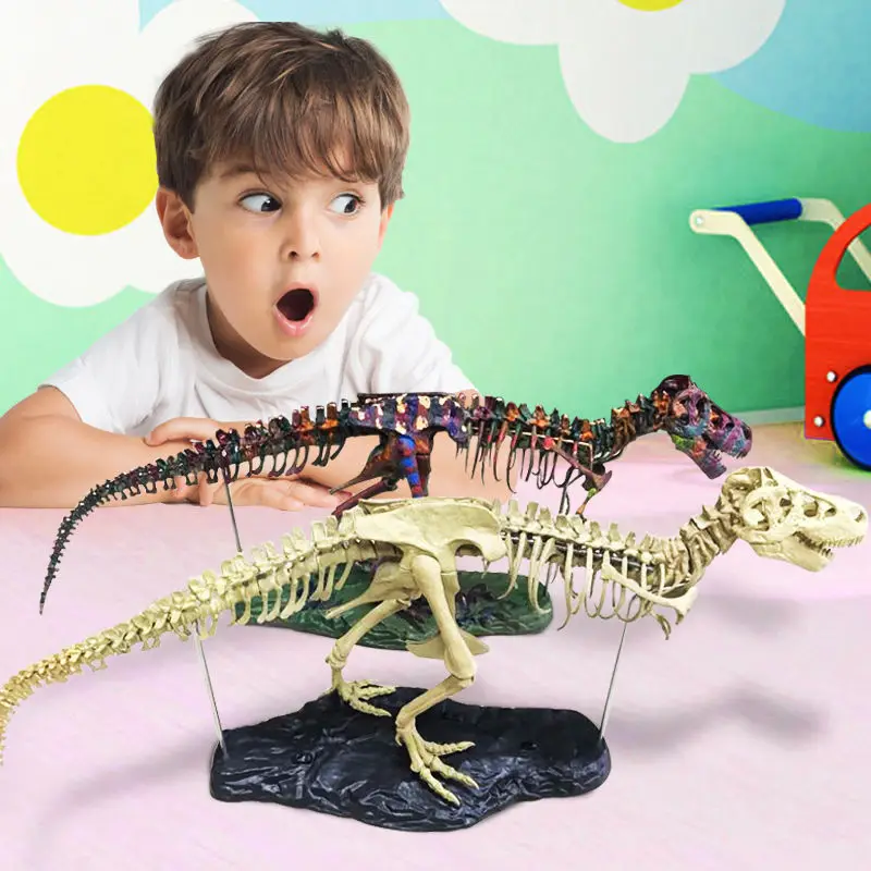 

70cm Dinosaur Tyrannosaurus Fossil Skeleton Model Assembled Puzzles Educational Toys for Kids Adult DIY Dinosaurs Boys Gifts