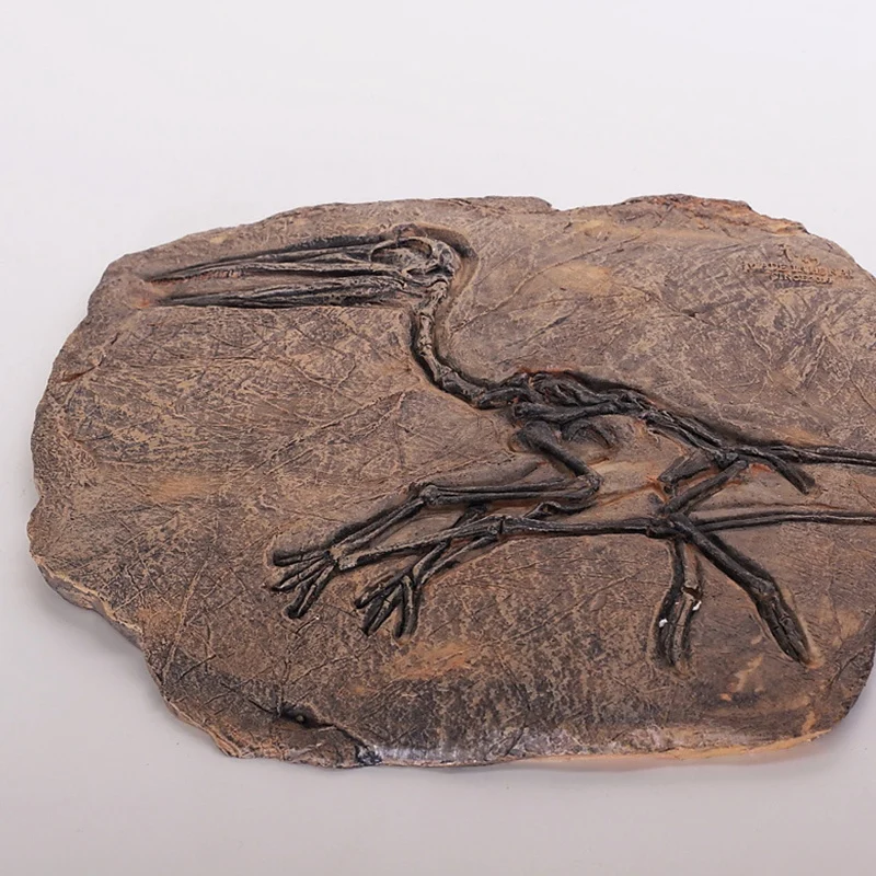 Тираннозавр Рекс Динозавр Fossil Jurassic Cretaceous 130 миллионов лет|Статуэтки и миниатюры| |