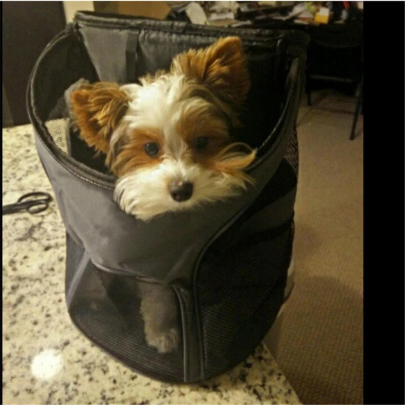 

Travel Dog Bag Breathable Dog Backpack Large Capacity Cat Carrying Bag Portable Outdoor Travel Pet Carrier