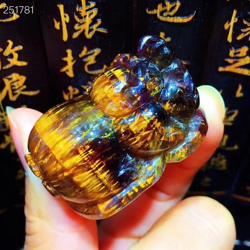 

Natural Cacoxenite Purple Gold Rutilated Pi Xiu Carved Pendant Canada 36x22.2x21.3mm Auralite 23 Women Necklace AAAAAA