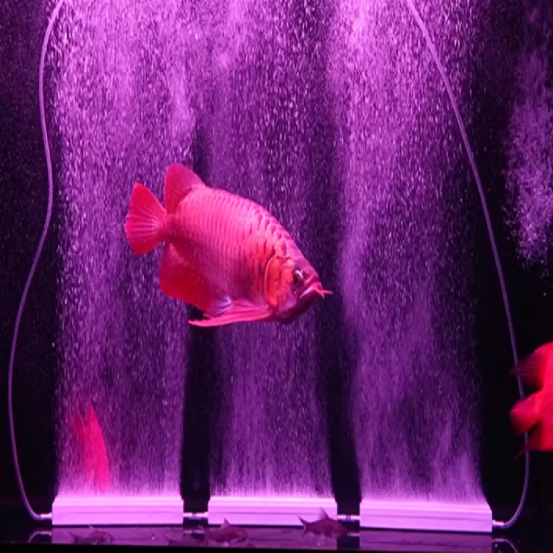 Сверхнизкий уровень шума аквариумный воздушный насос мини компрессор