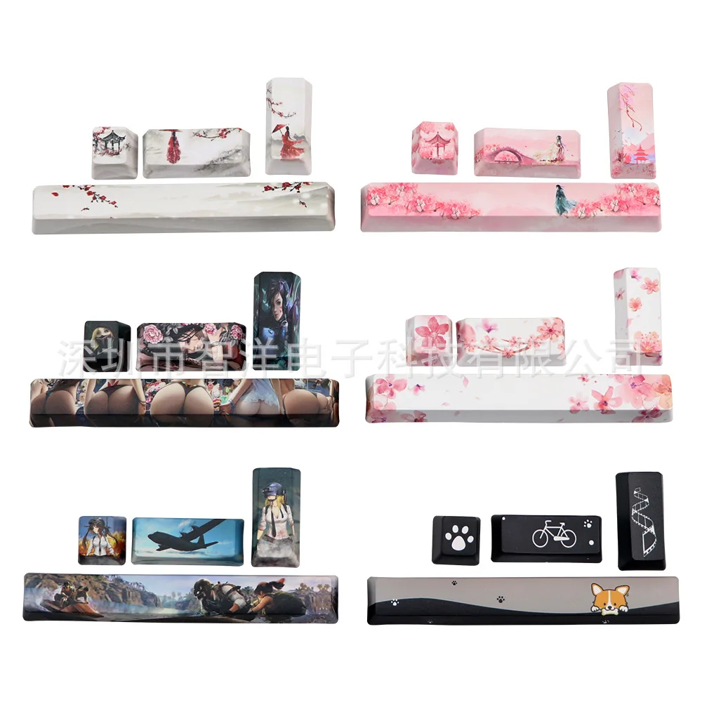 

Pbt4 key OEM height mechanical key cap five side thermal sublimation key cap space 625u ESC