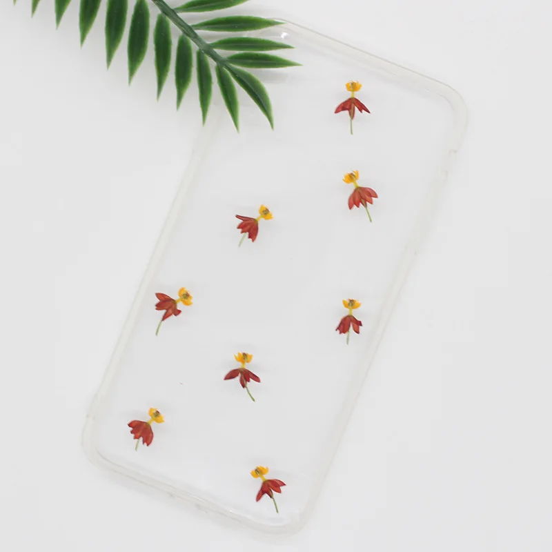 250 шт прессованный высушенный Танцующий Цветок гербарий из растений для