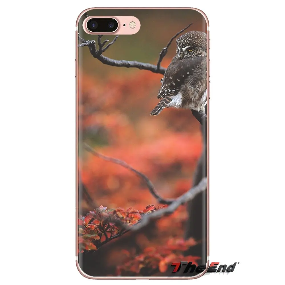 Для iPhone XS Max XR X 4 4S 5 5S 5C SE 6 6S 7 8 плюс samsung Galaxy J1 J3 J5 J7 A3 A5 силиконовый чехол животных в