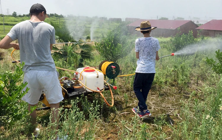 Распылительная машина самоходный бензиновый распылитель сельскохозяйственный