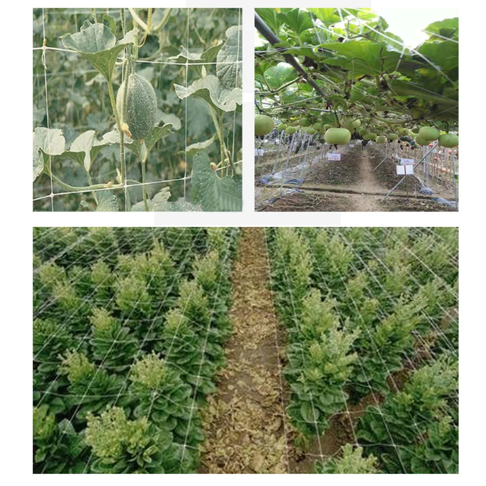 

Сетка для выращивания растений из полиэстера