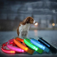 led luminous collar for dogs cat puppy dog accessories anti lost flashing personalized cat collar leads pet accessories supplies