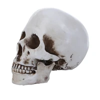 human head skull statue for home decor resin figurines halloween decoration sculpture medical teaching sketch model crafts 8029