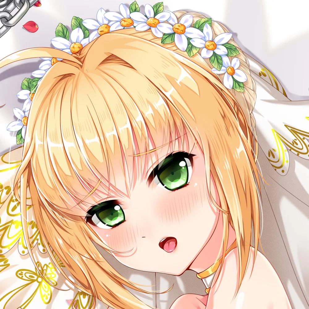 

Anime Game Fate/EXTRA NER CLAVDIVS CAESAR Hugging Body Pillow Case Cover Pillow Cushion Cover Otaku Bedding Decorations Gifts