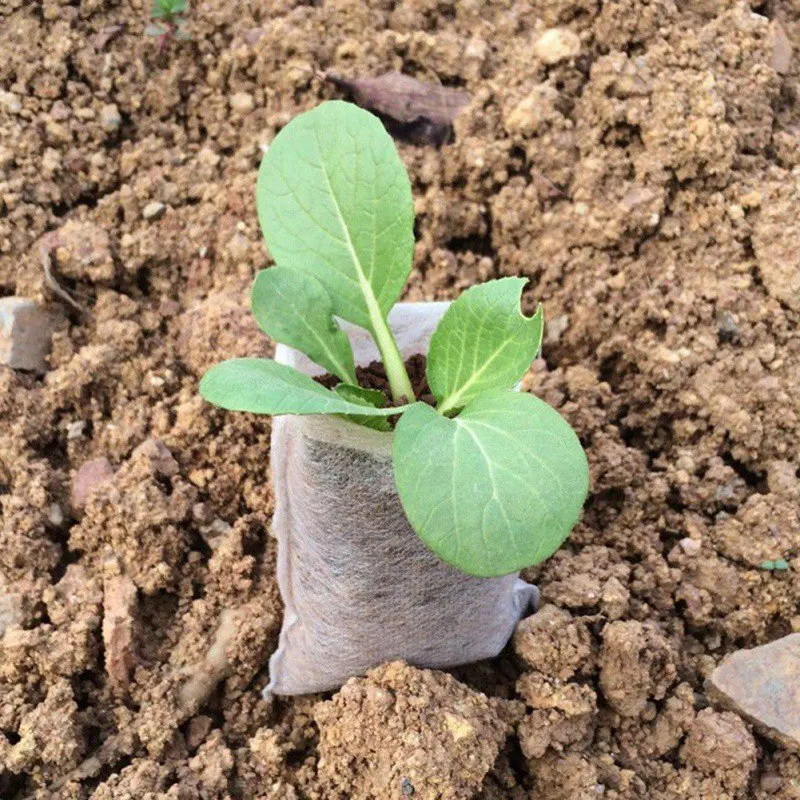 100 шт бытовой нетканый мешок для рассады Садовые принадлежности посадочная сумка