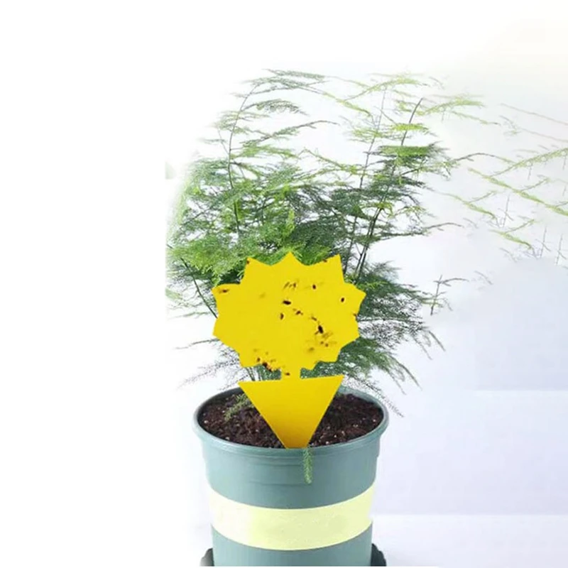 

Yellow Sticky Traps, Dual-Sided, for Capturing Insects Like Gnats, Fruit Flies, Aphids, 60PCS