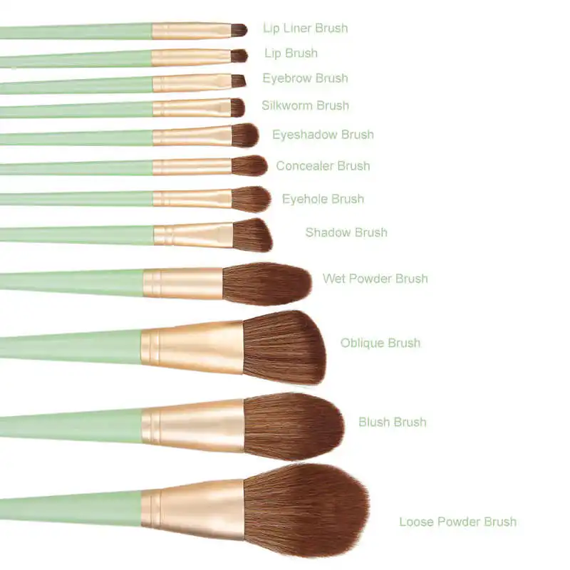 

Brushes Elegant Appearance Makeup Brushes Set Dress Up for Make Up