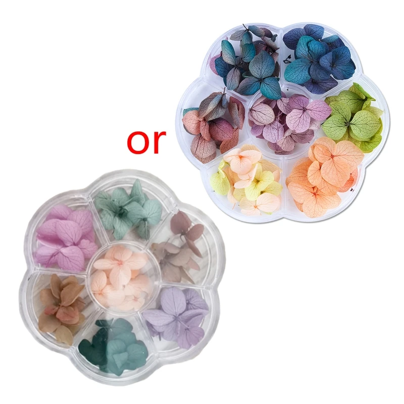 

Dried Flowers DIY Epoxy Resin Handmade Crafts Filling Materials N58F