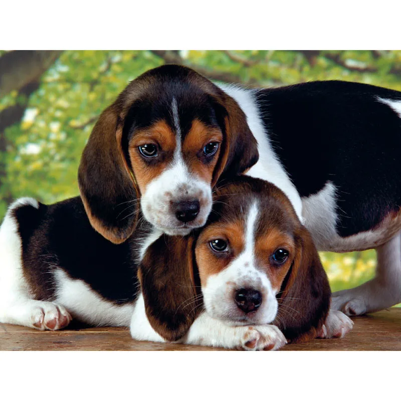 

new 2020 Full Square drill 5D DIY Diamond painting cute dog Diamond Embroidery Mosaic Cross Stitch Rhinestone decor BY596