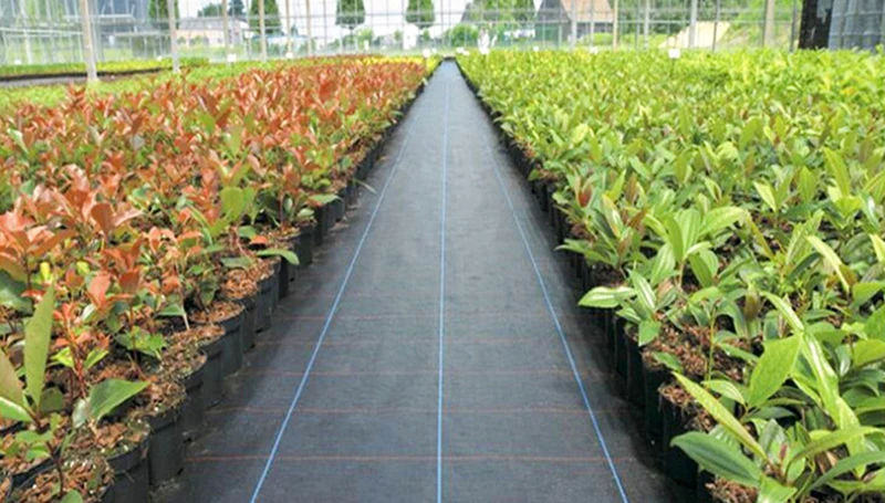 구매 정원 과수원 도구 온실 잡초 장벽 패브릭 잡초 천 겨울 PE 식물 커버 농업 안티 잔디 그라운드 매트