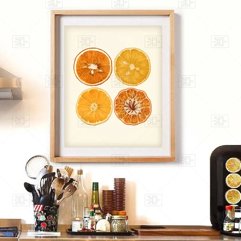 Оранжевый цитрусовый художественный принт античный ботанический фрукт