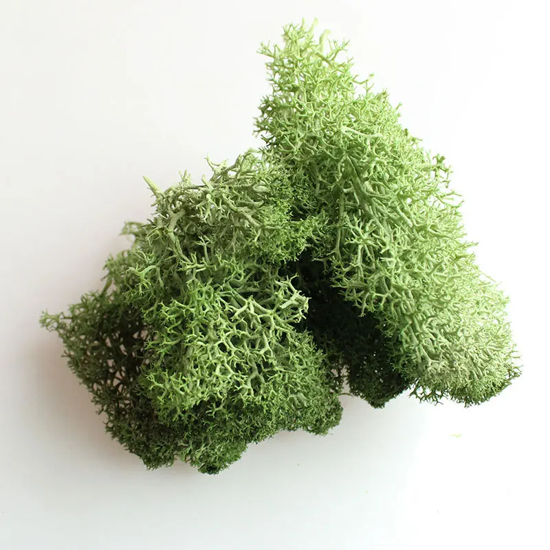 Light-green Йо Чо натуральный норвежский олень мох консервированный сушеный ремесло цветок тычинки украшение свадебное украшение для сказочного сада декор мускус - Цвет: Light-green