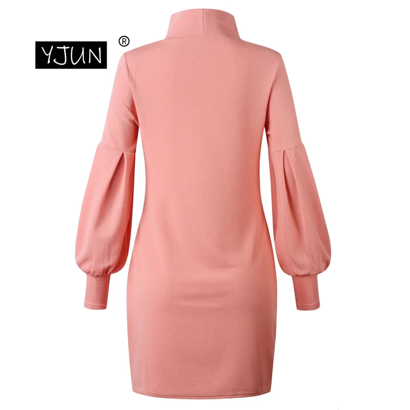 Женские платья осень зима длинный рукав Turtlenck теплая одежда мини короткое модное