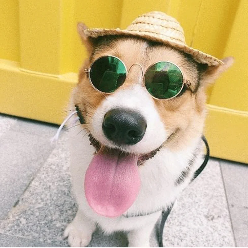 Очки солнцезащитные круглые для домашних животных красивые маленькие