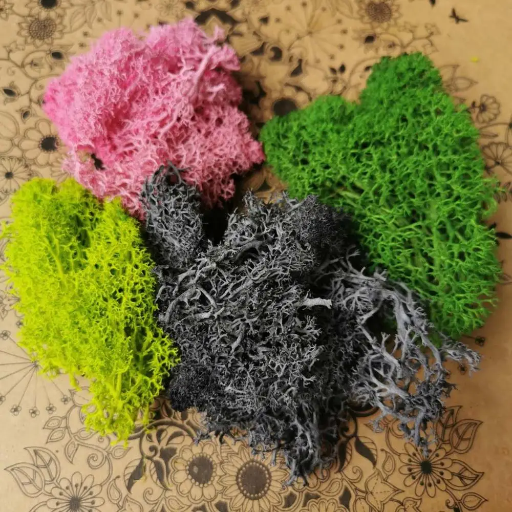 

40 г/лот, Натуральный Свежий консервированный мох, растение из роз Eternell для свадебного украшения дома, романтическое украшение для подарочно...