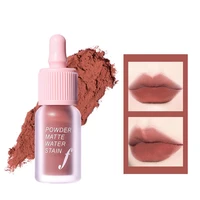 4g lip gloss matte waterproof natural long lasting glitter tint makeup liquid lipstick for female