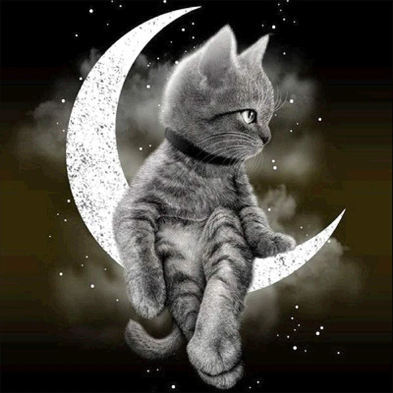 

5D DIY Diamond Painting Full Square / Round "moon cat" Diamond Embroidery Rhinestones Pictures Diamond Mosaic Home Decor
