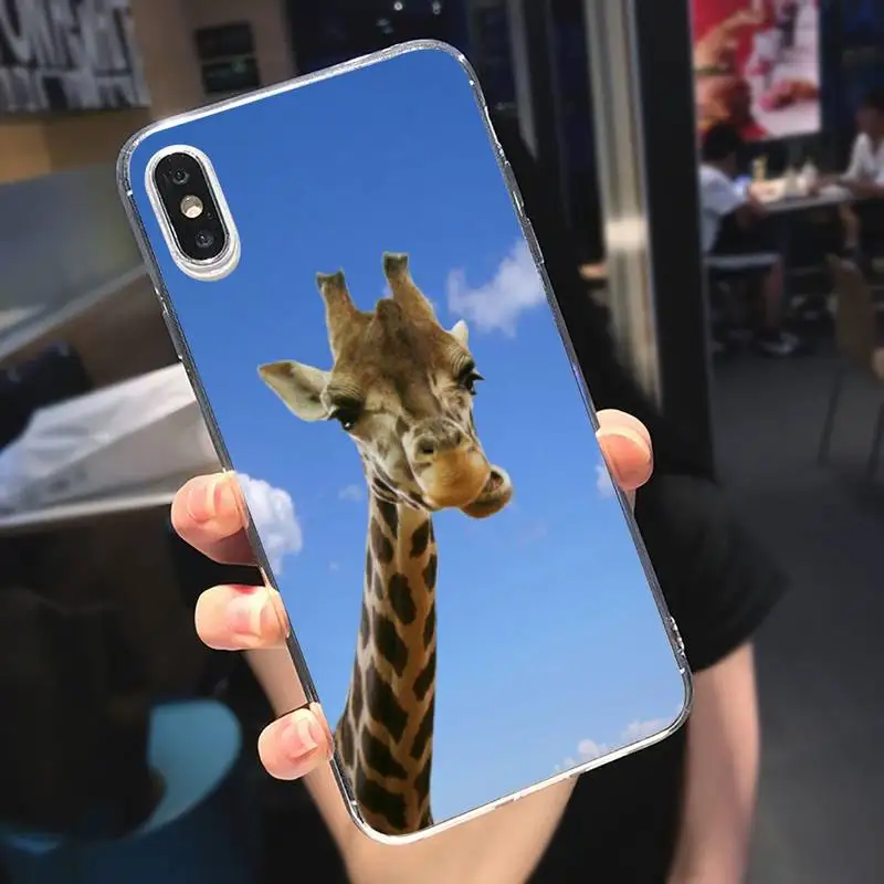 

Zebra Giraffe cute animal Phone Case Transparent soft For iphone 5 5s 5c se 6 6s 7 8 11 12 plus mini x xs xr pro max