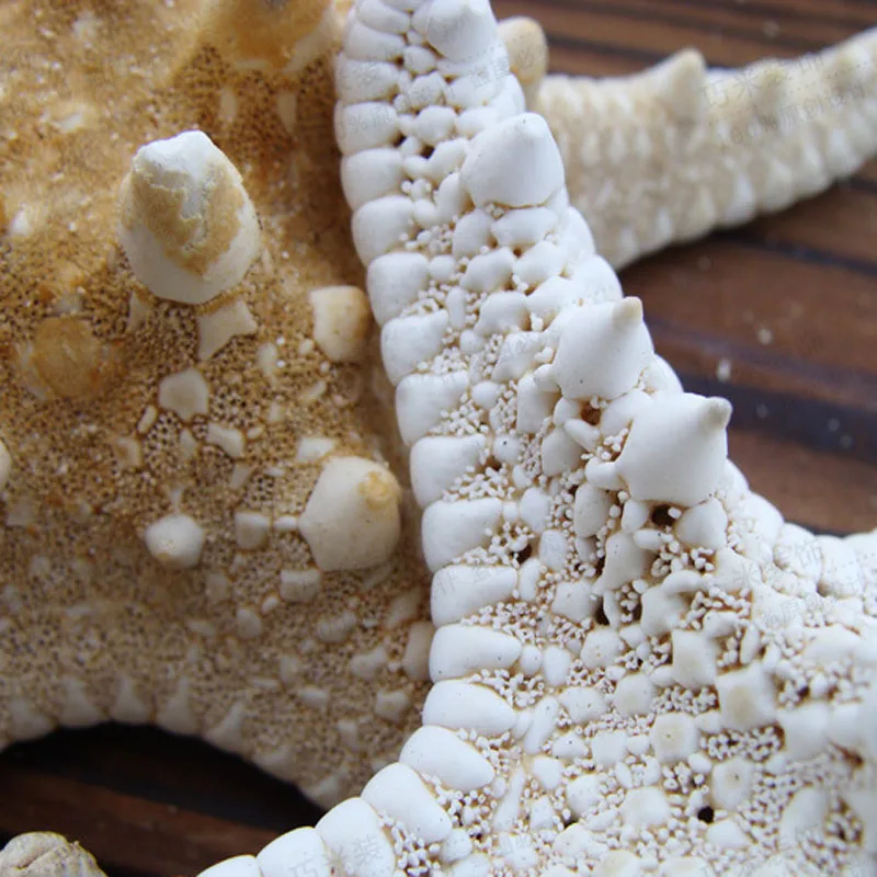 1 шт. миниатюрная фигурка морской звезды украшение для дома аксессуары рукоделия