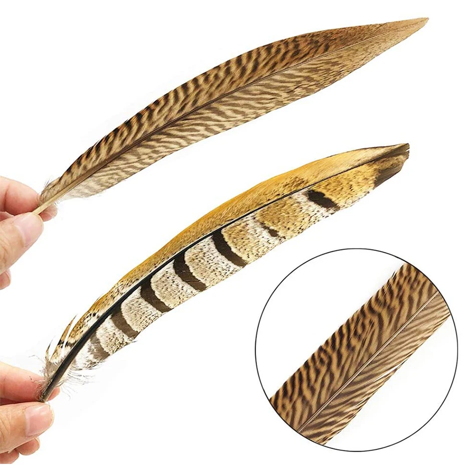 10 шт./лот натуральный шлейф Дамский амхерт перья фазана для рукоделия вечерние