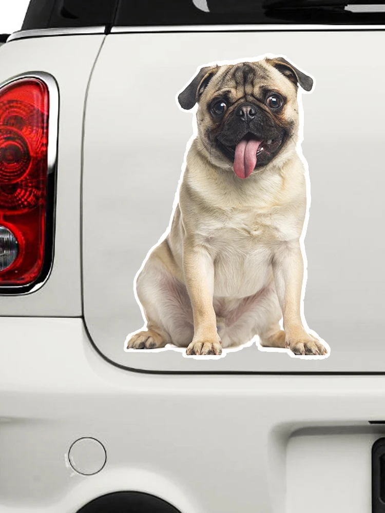 B0689 # самоклеящаяся наклейка Pug Dog V2 автомобильная водонепроницаемые