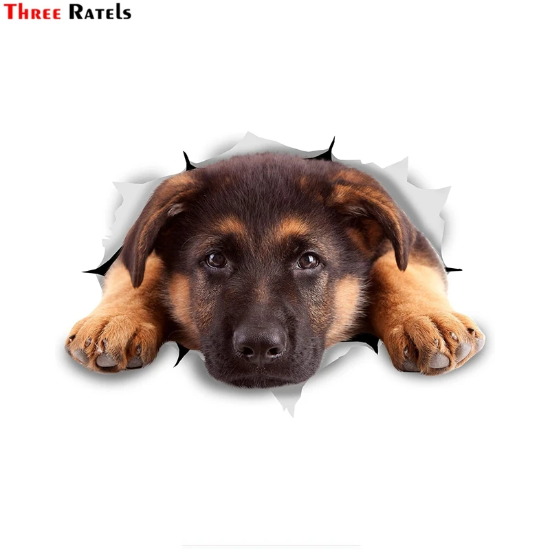 

Три Ratels FTC-1088 3D наклейки для собак отдыха Пособия по немецкому языку пастырь для стены, холодильник, туалет, окна и шкаф