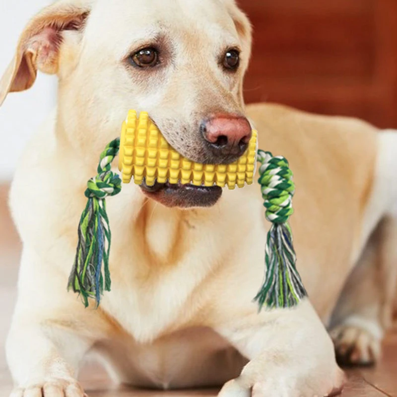 

Жевательные игрушки для собак, аксессуары, тренажер для челюсти, жевательный мяч для зубной щетки, игрушки для домашних животных, интеракти...
