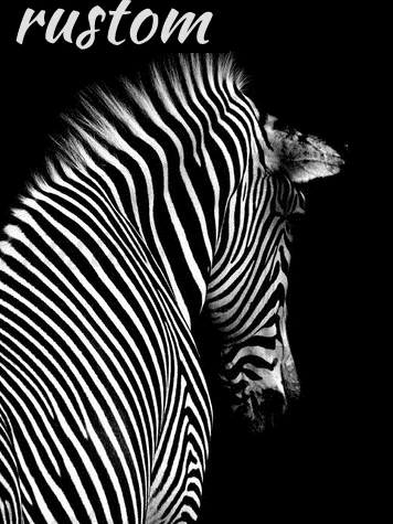 

Diamond Embroidery Zebra Full Square Drill Black White Animal Cross Stitch Kit Home Decoration Rustom 5D DIY Diamond Painting