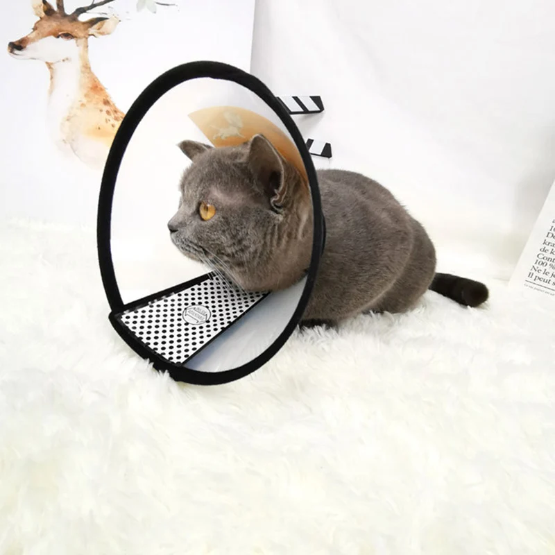 Ошейник для собак конус Регулируемый ошейник восстановления домашних животных