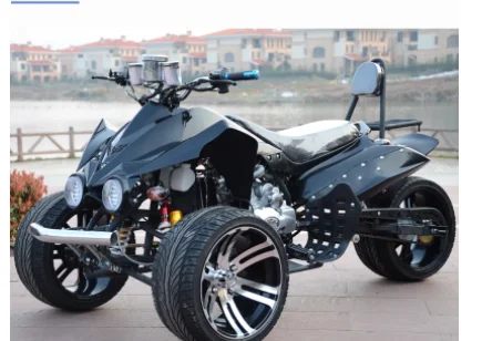 

AGY winch supported 3 wheel trike/petrol motorcycle