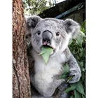 Алмазная живопись koala сделай сам, вышивка крестиком с животными, Детская мозаика