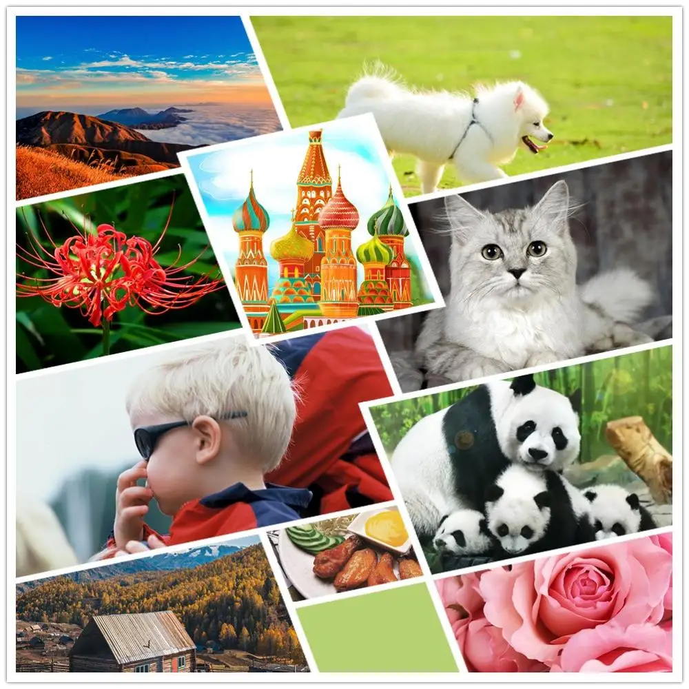 Ссылка только для получения возврата пожалуйста свяжитесь с нами перед оплатой.