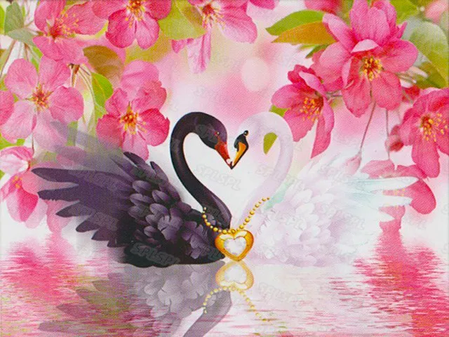 

Diy Diamond Painting Beautiful and Mysterious Starry Sky Black Swan White Swan Whale In The Sea Poster Hanging Painting